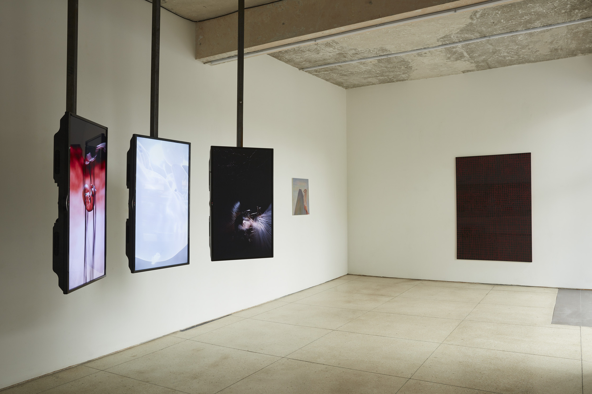The Conch Shell, exhibition view, 2021