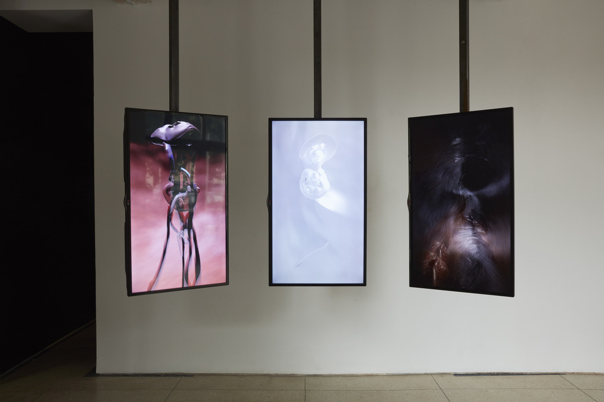 Tzusoo, Schrödinger's Baby, 2019/2020, 3-channels video installation, loop week 04 00:05:25 week 08 00:04:11 week 16 00:04:19