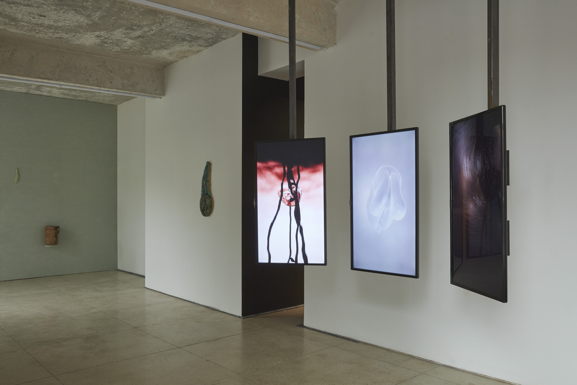 The Conch Shell, exhibition view, 2021