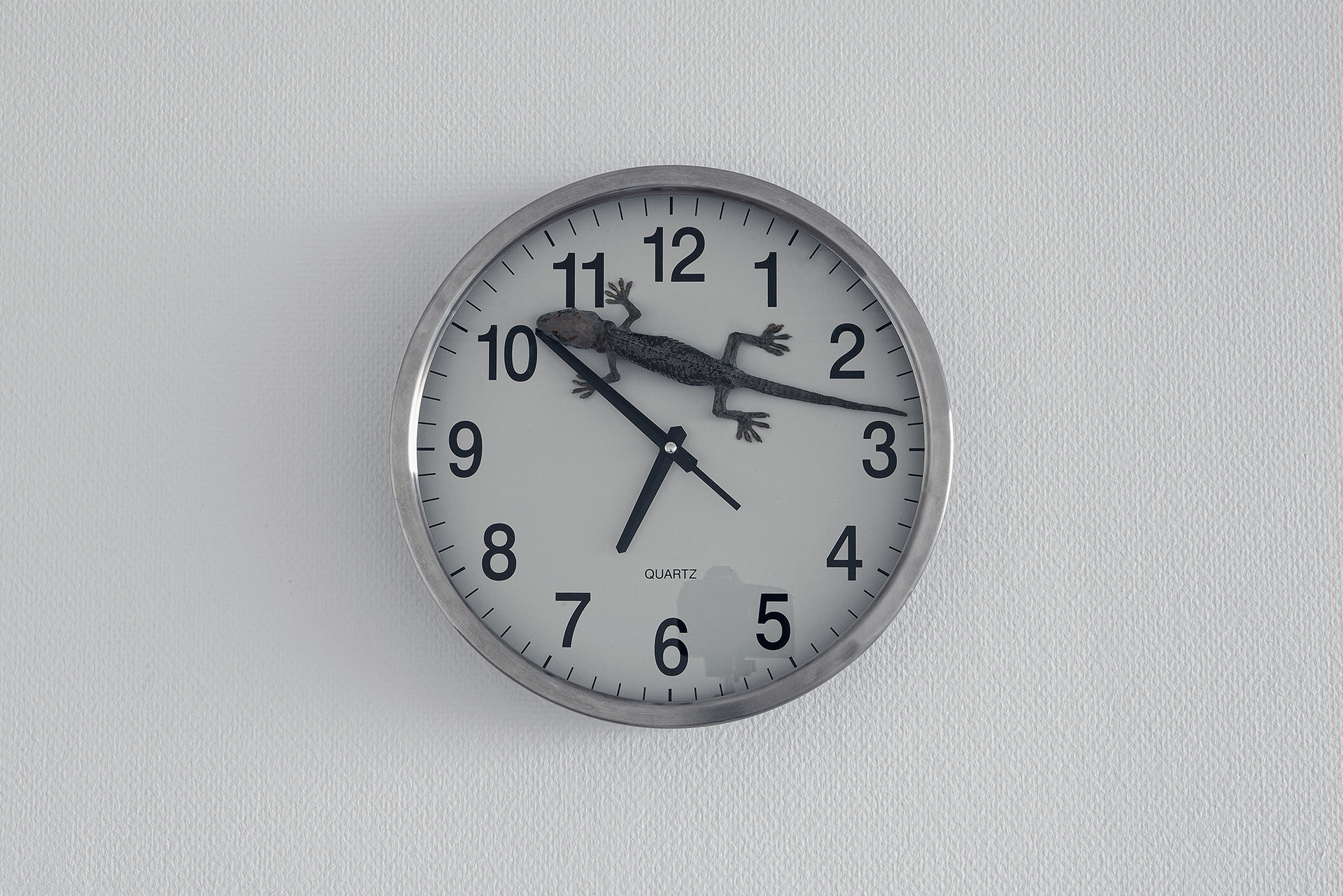 Untitled, 2021, clock, gecko