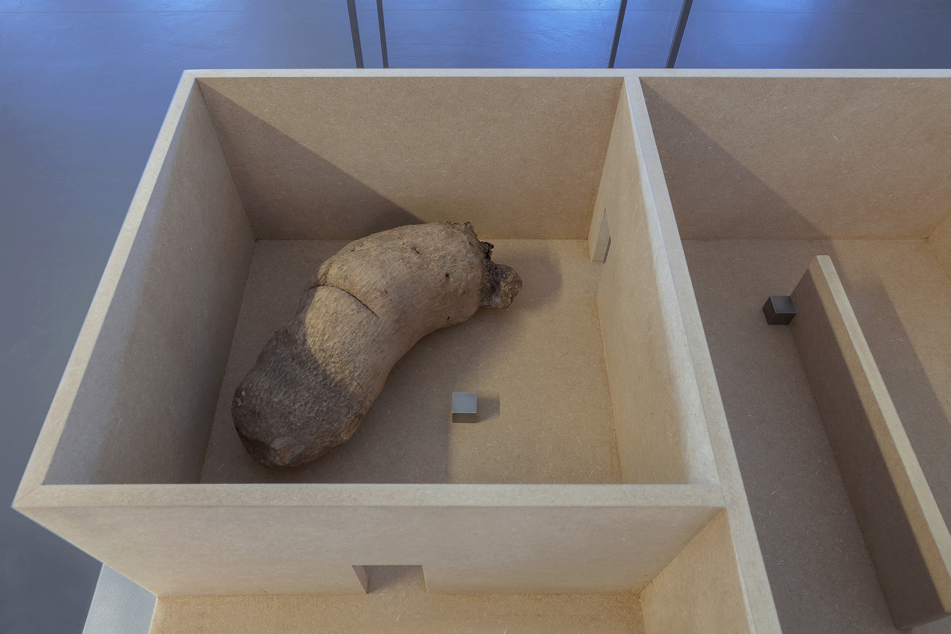 Intermodular Habitat, 2021, 65 x 90 x 120 cm, steel, MDF, yam, detail