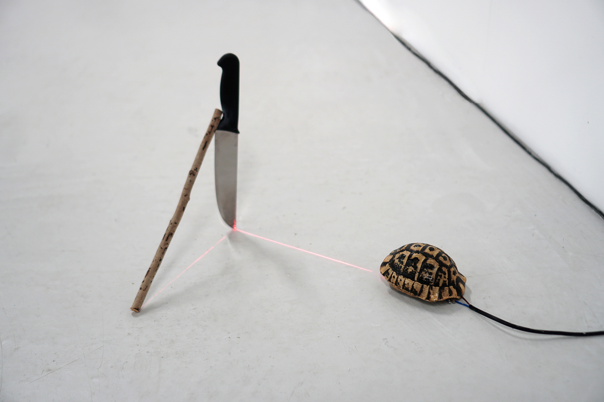 Romain Dumesnil, Untitled, 2019, Laser, diverse found objects, variable dimensions