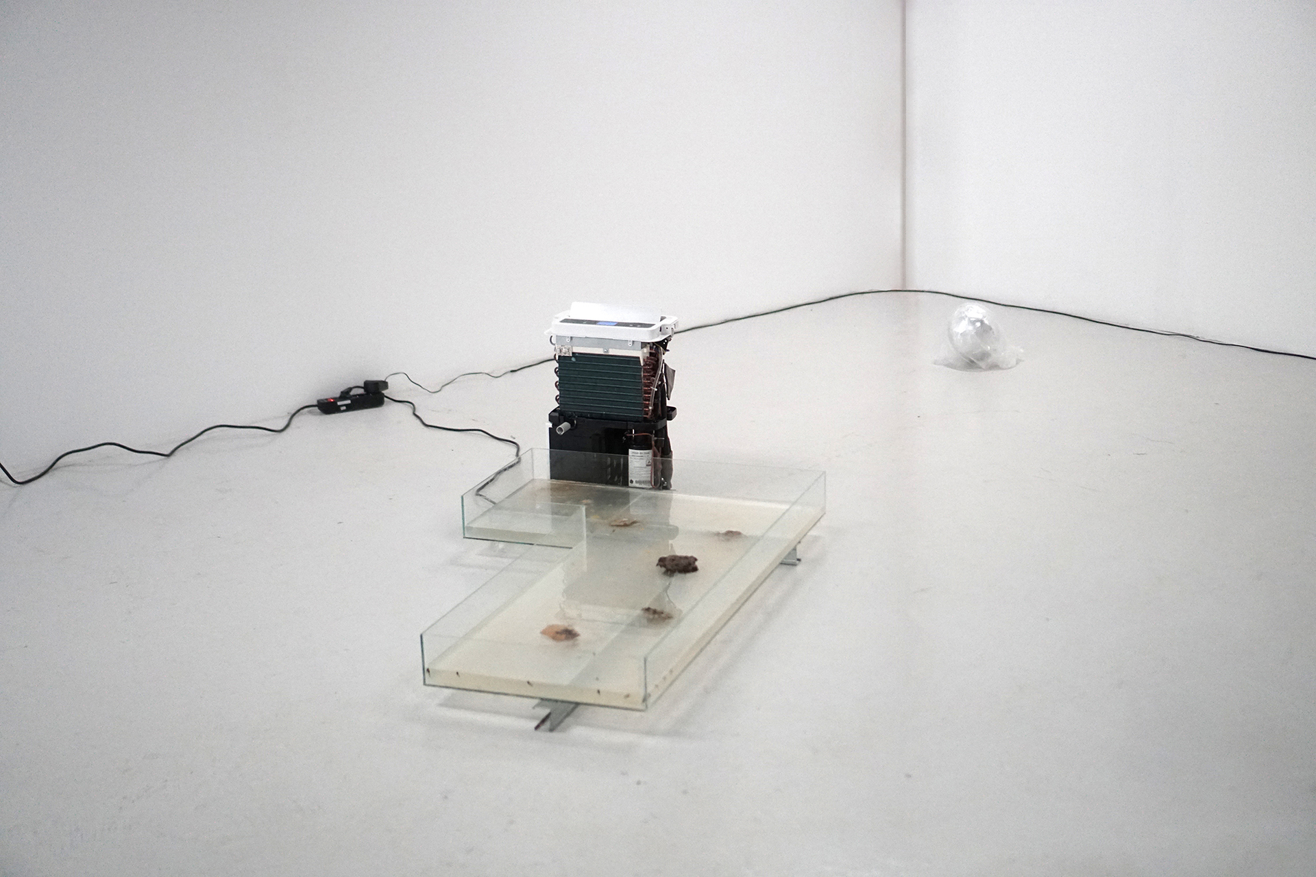 Romain Dumesnil, Transition, 2021 Dehumidifer, ambient atmosphere (air) transformed into water, growing amphibians, minerals, bacterias and other live elements, variable dimensions