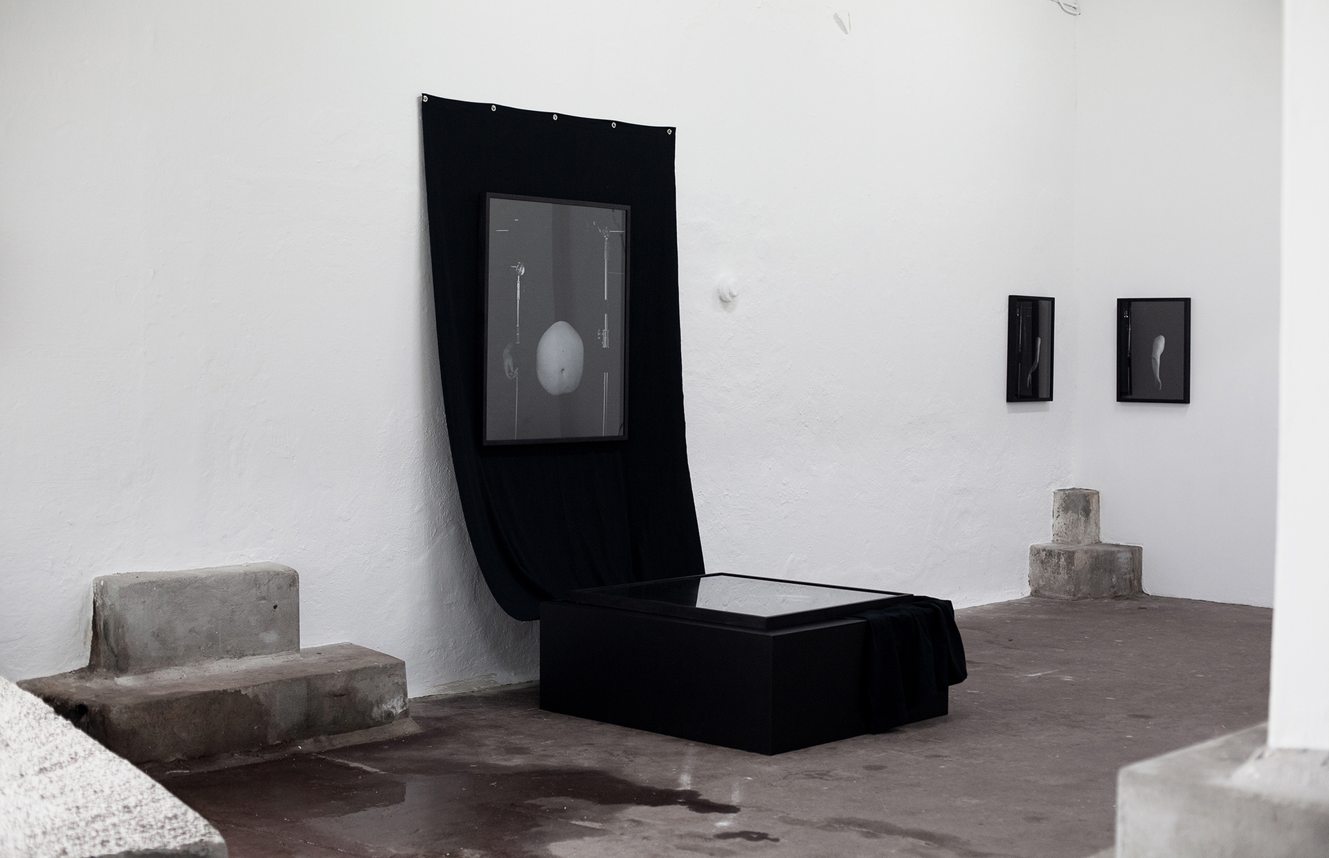 Tore Hallas: An Empty Container Of, installation view.