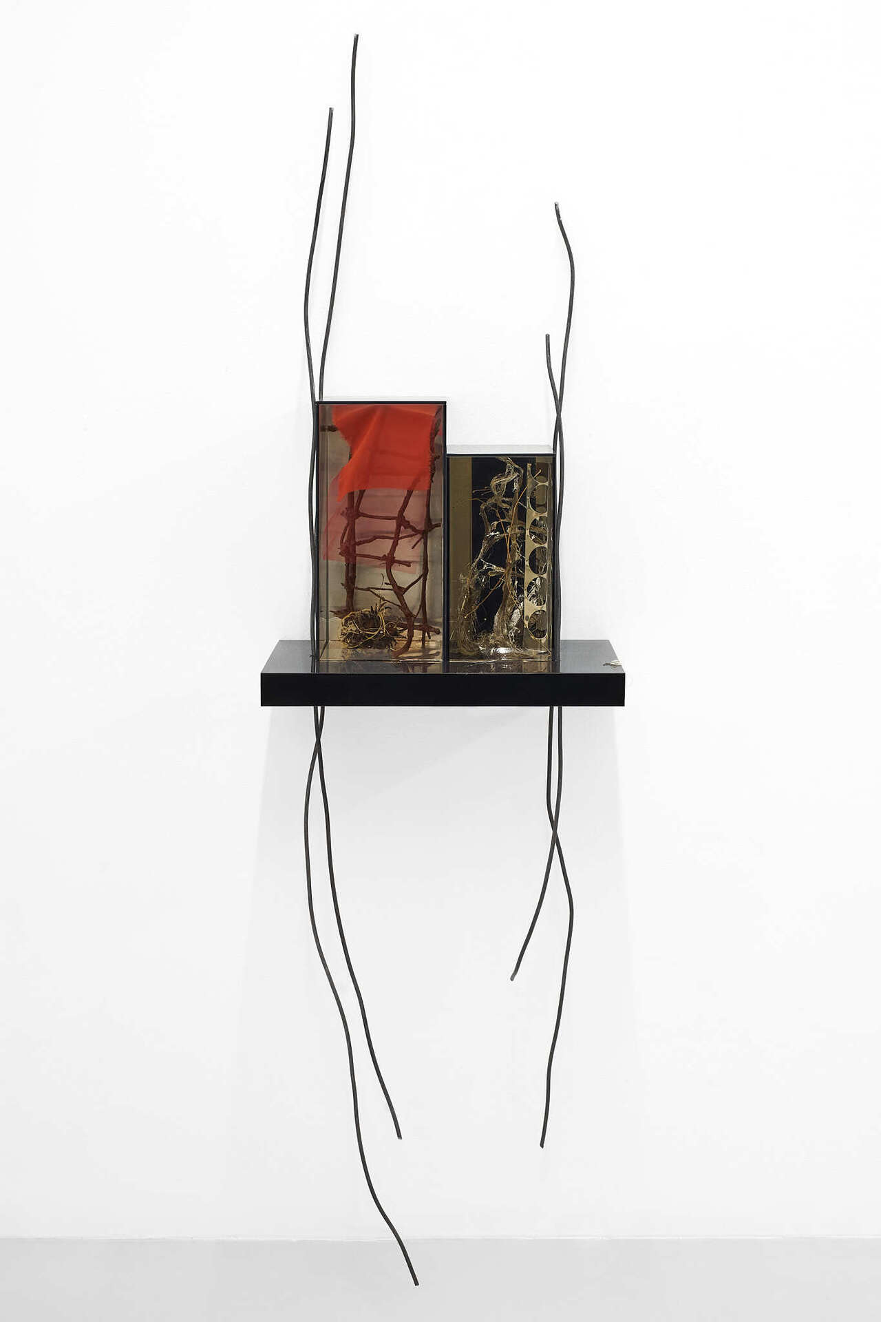 Ania Bak,Things That Come in Waves, 2021, Variable dimensions