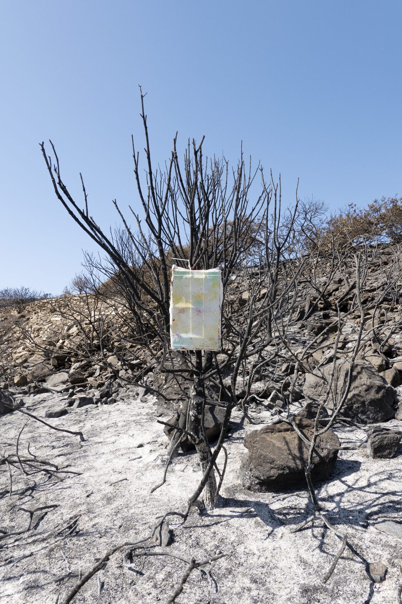 Ishai Shapira Kalter, "Sixth Stop: Naousa", 2021. On a burned tree minutes before Naousa, the artist placed another work cluster. "Naousa", 2021. Oil painting on canvas, glued, stretched, and tied with nylon string to a vegetable / fruit wooden crate, signed with blue pen. 46 x 27 x 9.5 cm
