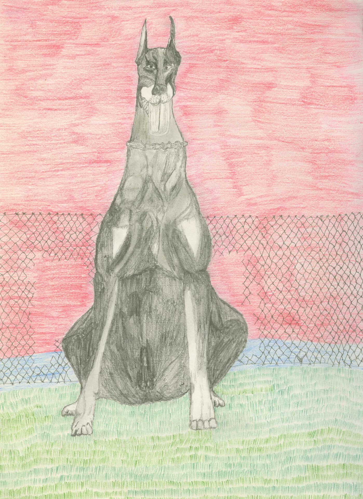 HUNDESTUDIEN-Dobermann , 2021, Color pencil and graphite on paper, wooden frame, plexiglas 38 x 29,7 cm