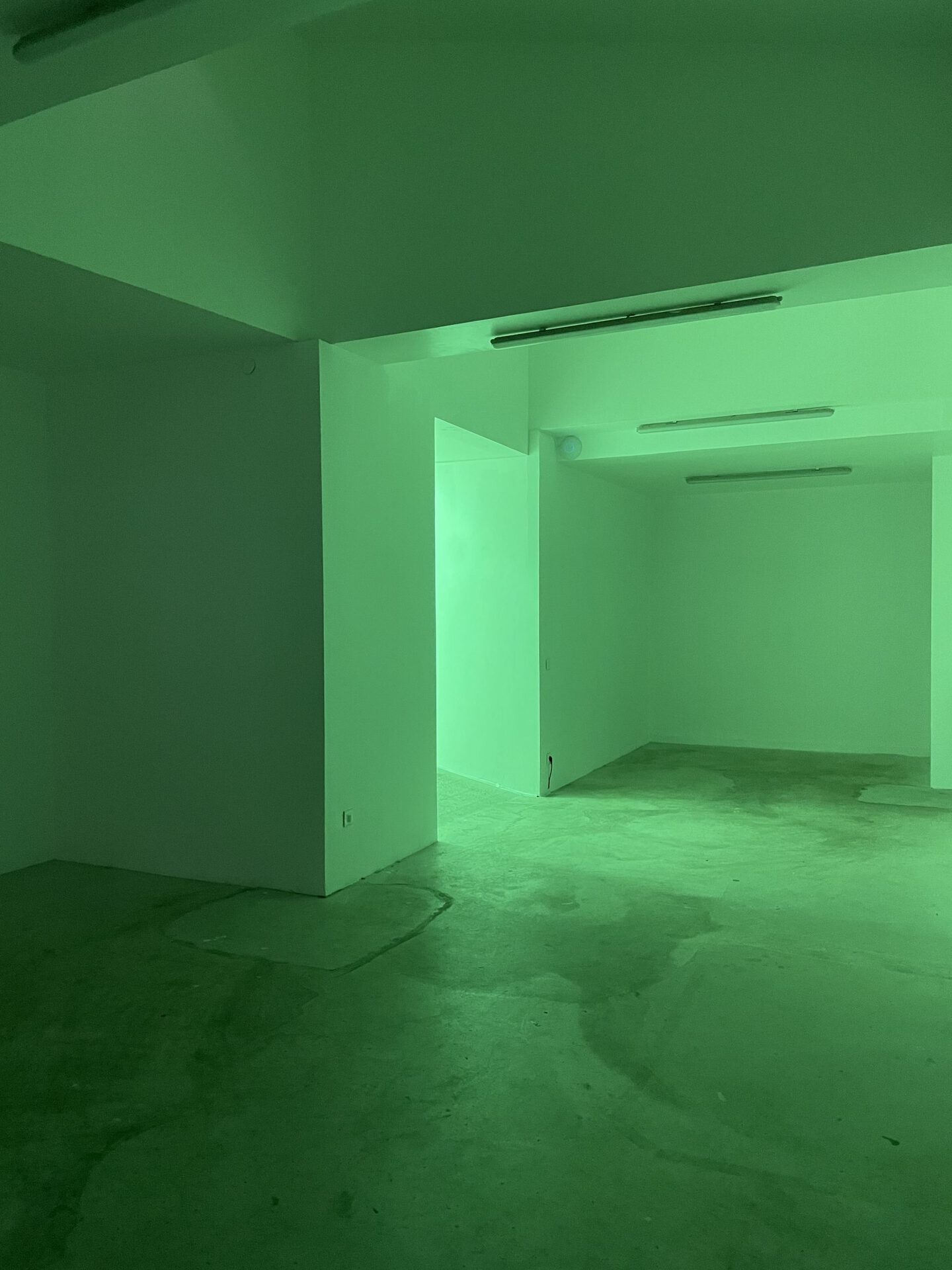 Fête Permanente, installation view, Robert Filliou, Greetings From L / We are all green (1977), 2021