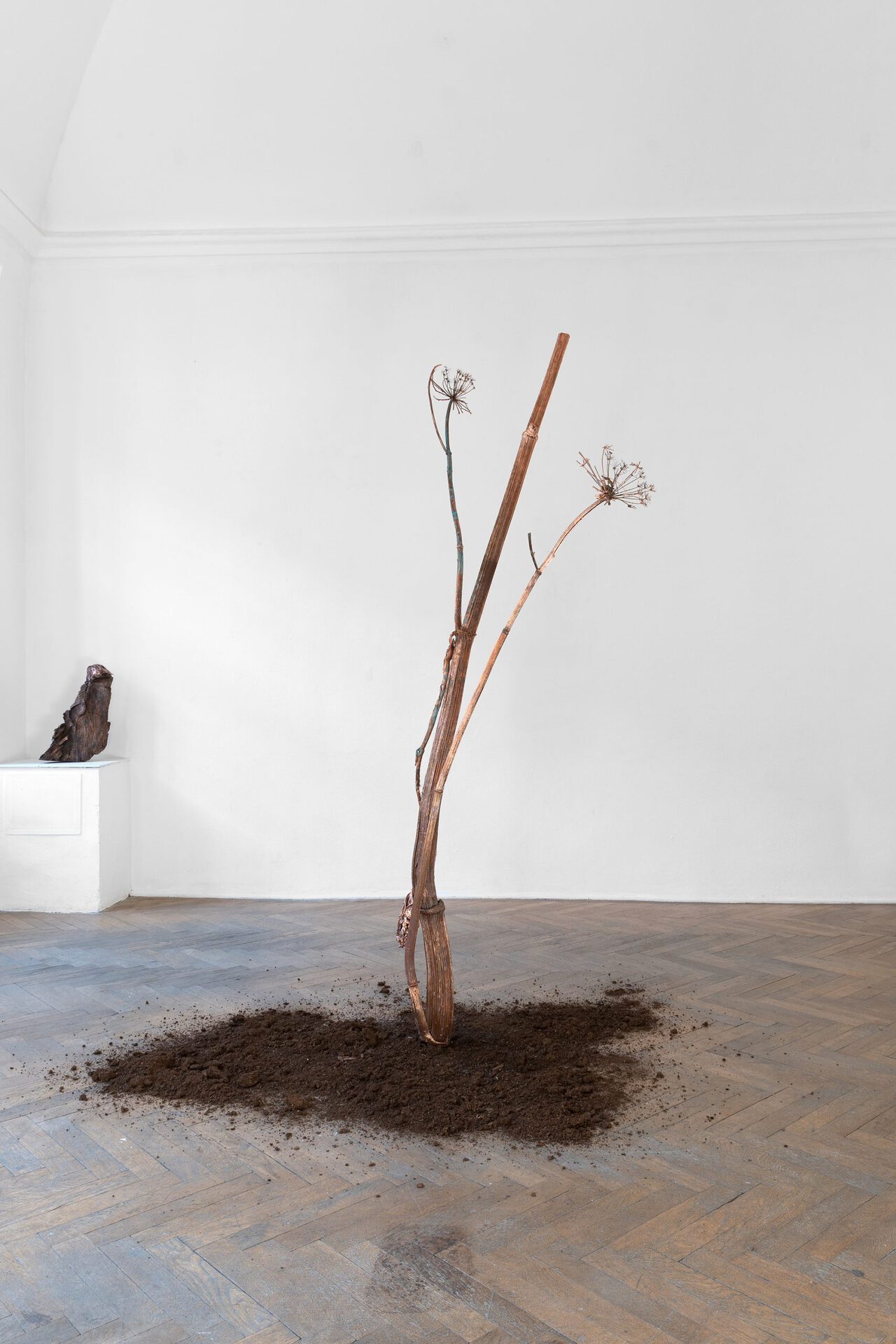 Installation View, Adam Vackar, Farmakon, 2021, Šopa Košice. Image courtesy of the artist and Šopa.