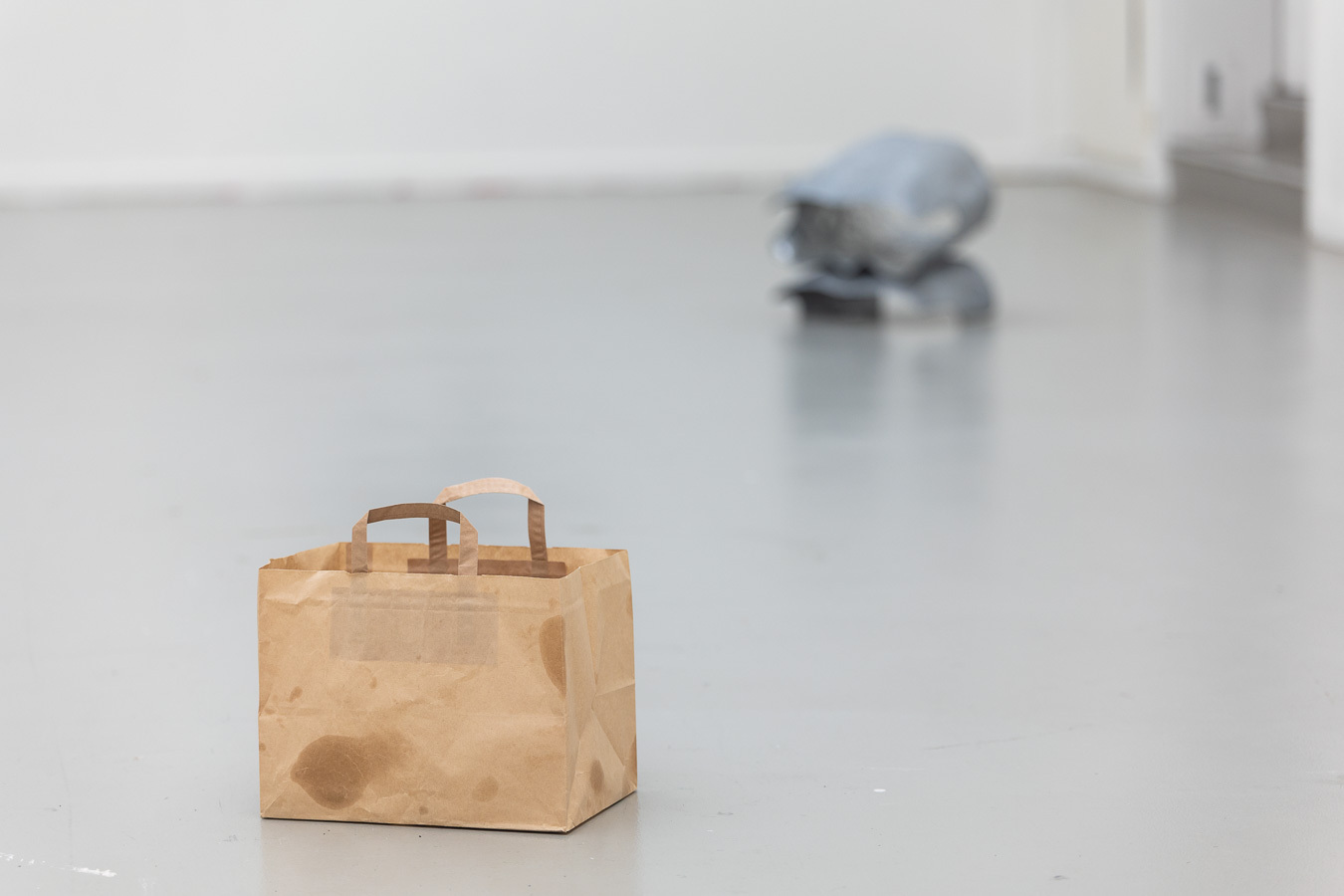 Kate Fahey, swimmers,2021, bag,oil, state stone, bio resin, 30x20x20cm