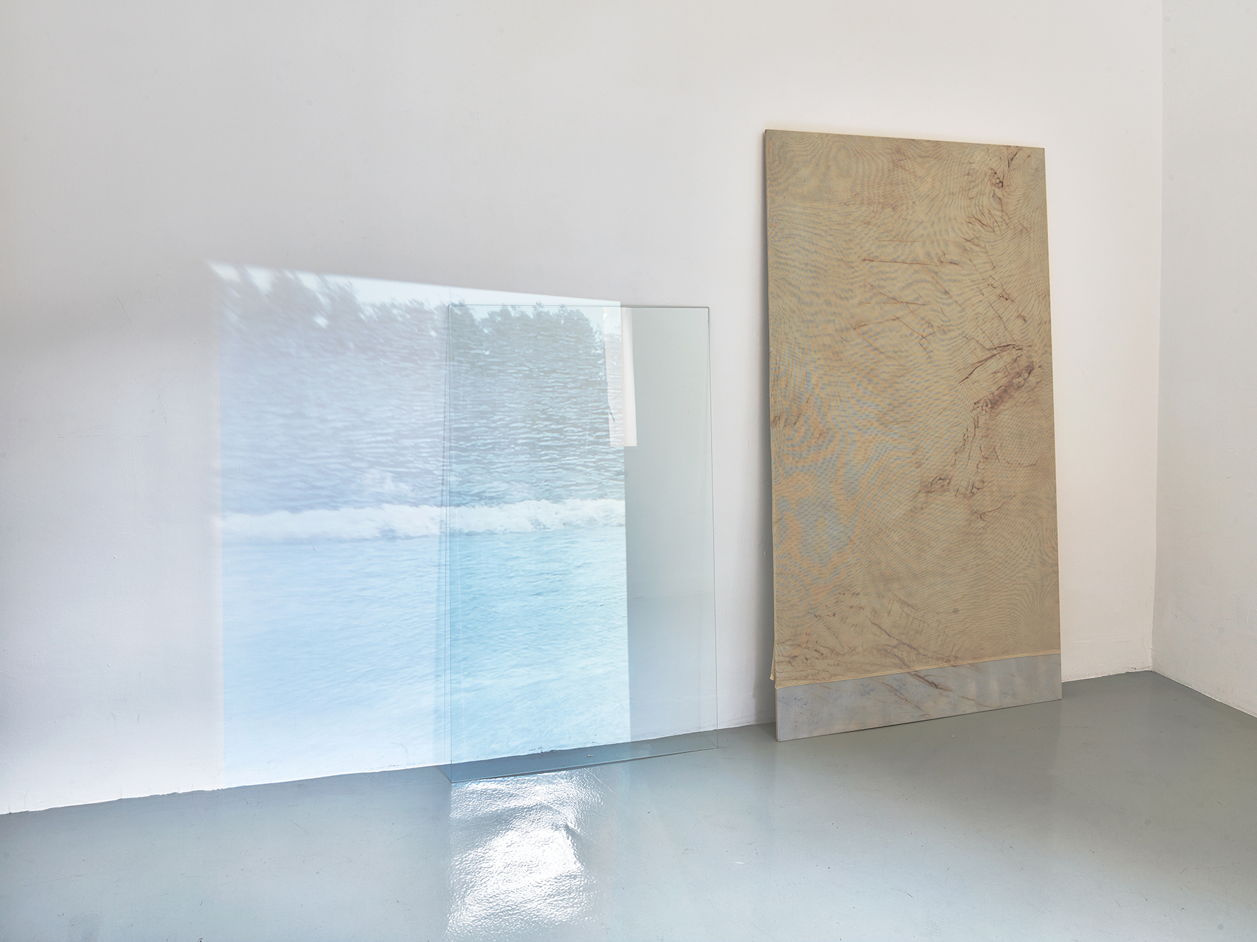 installation view