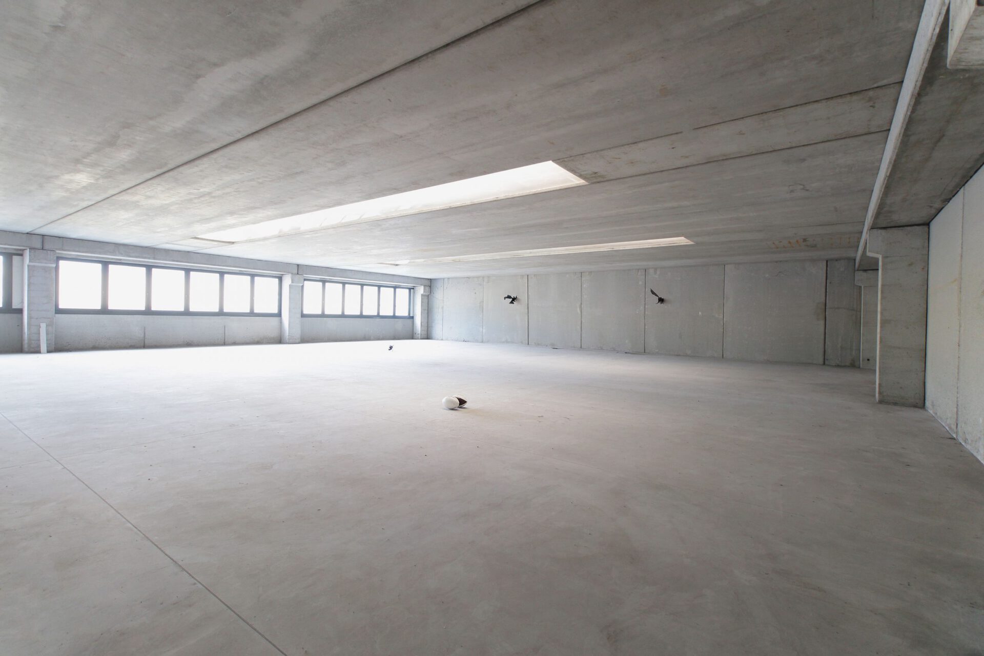 Shallow Shallow, Installation view