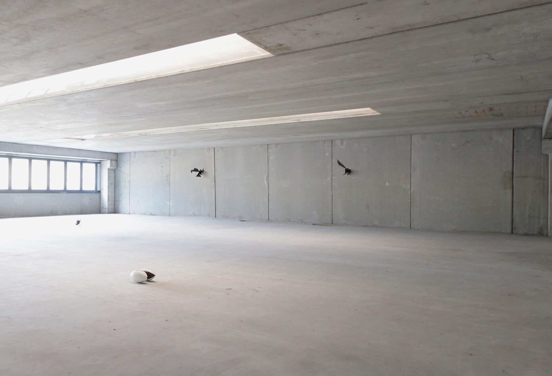 Shallow Shallow, Installation view