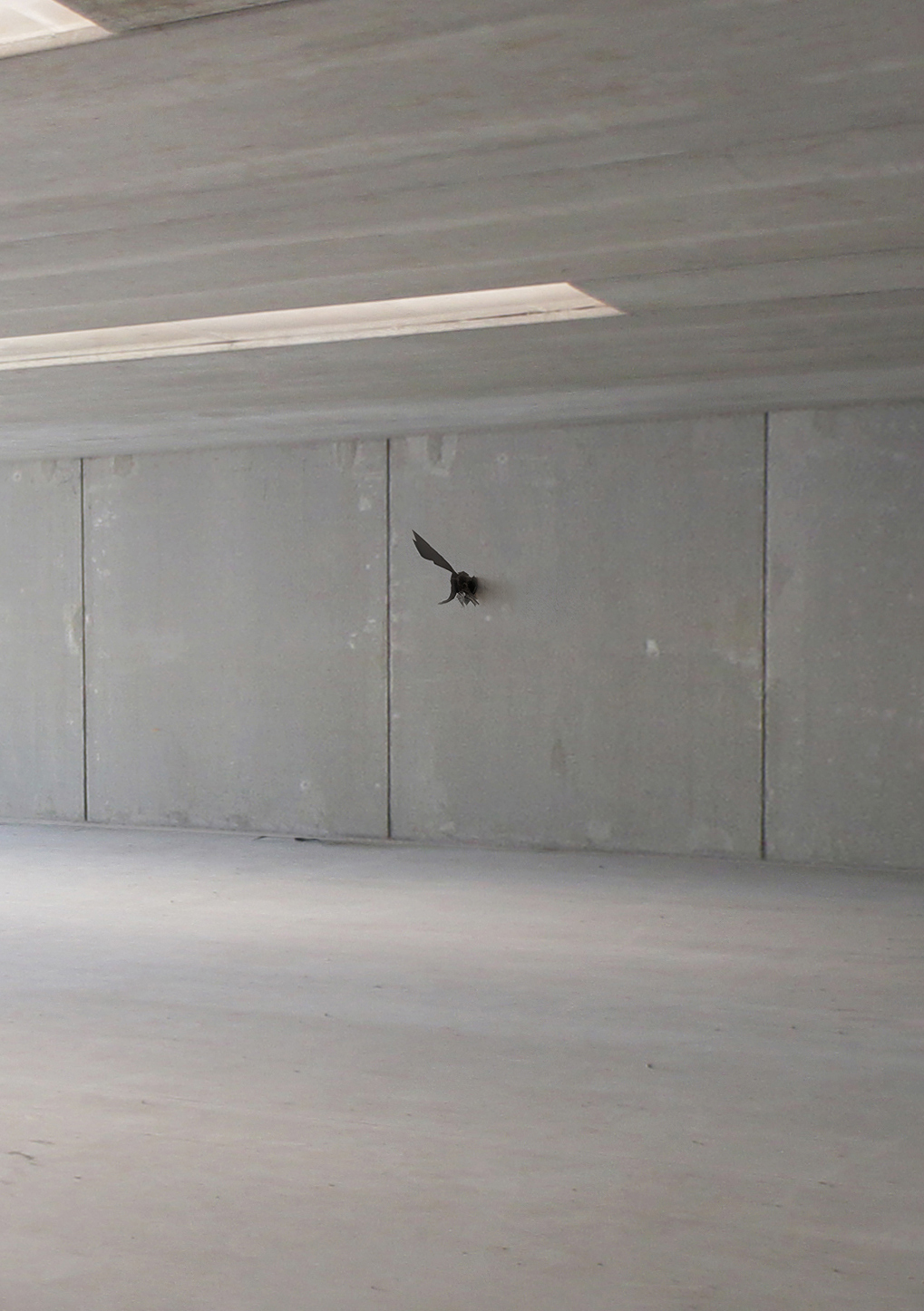 Untitled, 2021, Steel, wood