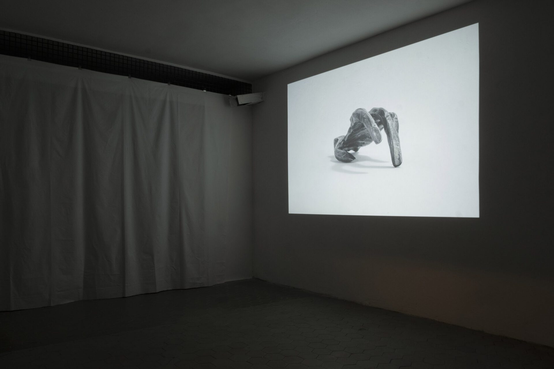 Flora Bouteille, Attitude = Currency, 2021, video installation