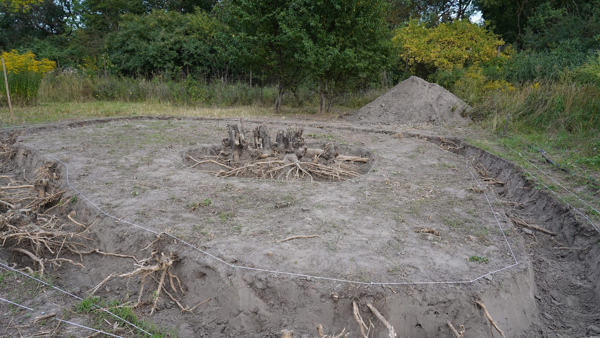 Martine Heuser, RAGING TOWARDS GENESIS 1, 2021, 800x800cm