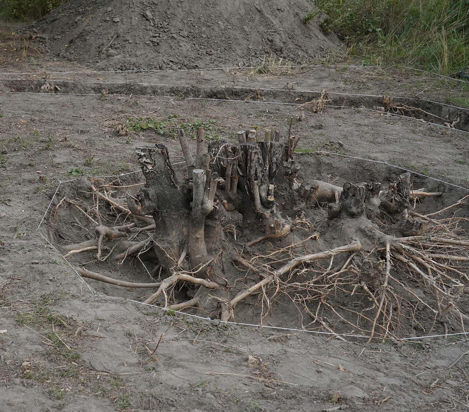 Martine Heuser, RAGING TOWARDS GENESIS 2, 2021, 800x800cm