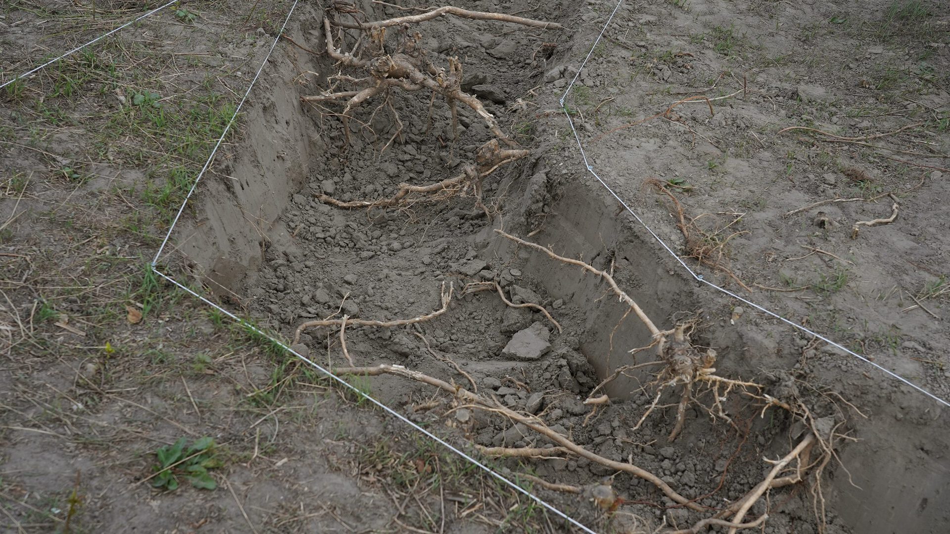 Martine Heuser, RAGING TOWARDS GENESIS 3, 2021, 800x800cm