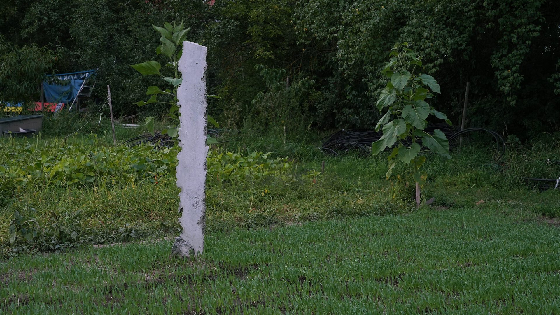 Nikolaus Eckhard, Furche 2, 2021, 270x35x20 cm