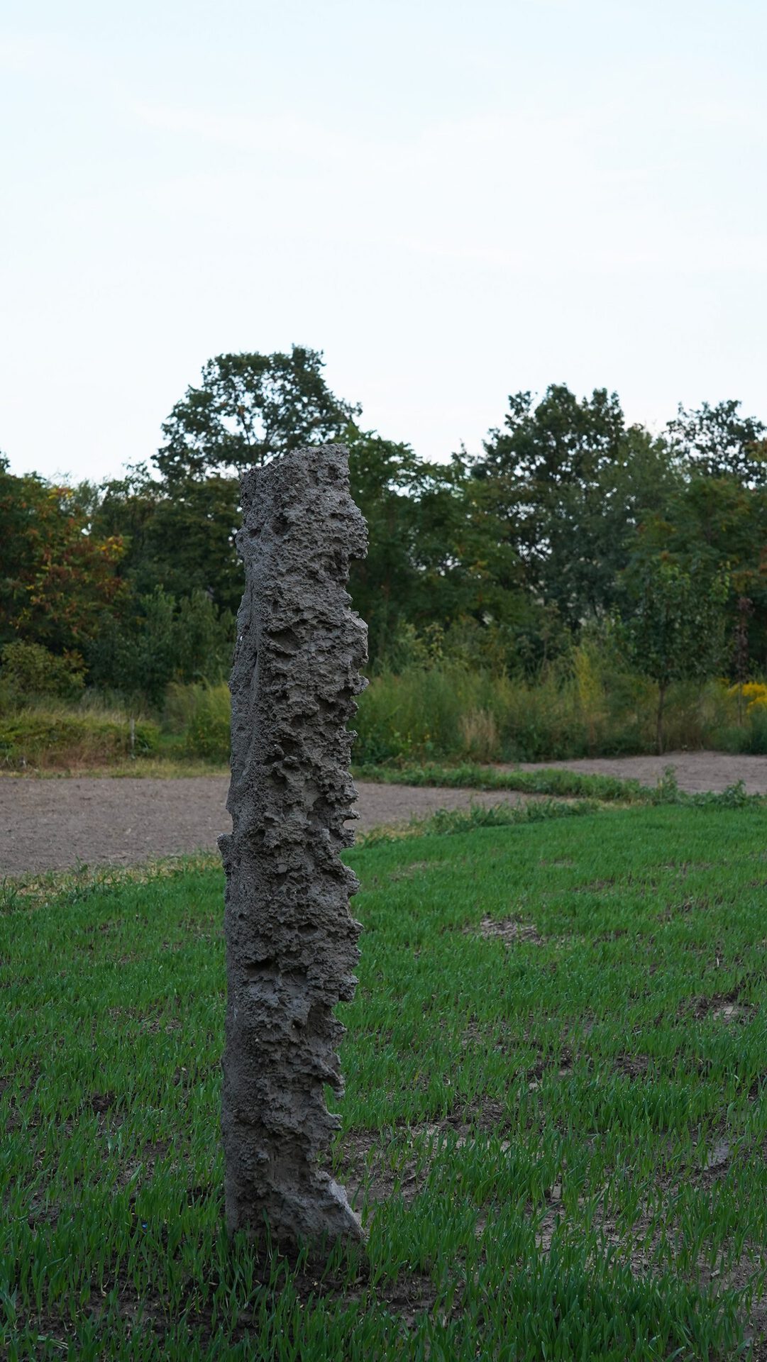 Nikolaus Eckhard, Furche 1, 2021, 270x35x20 cm