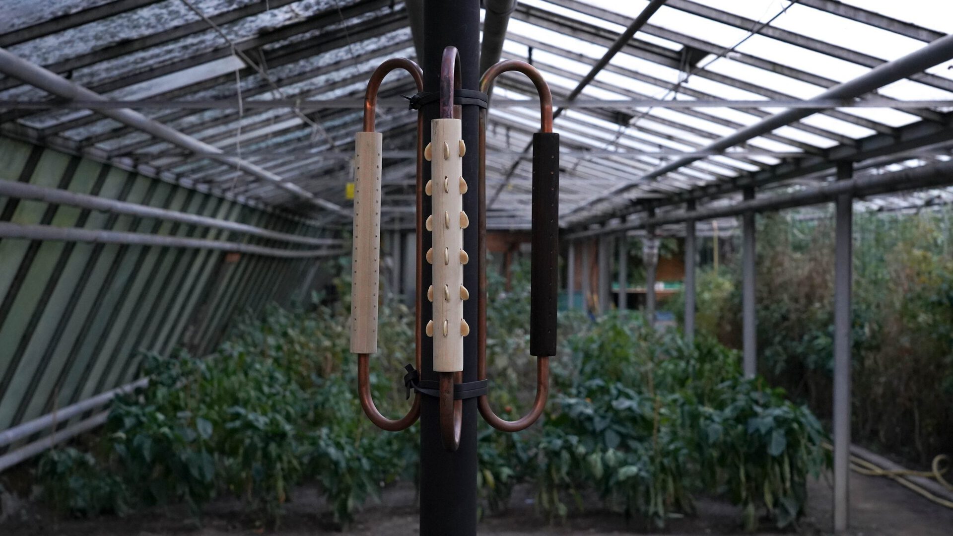 Eva Seiler, The Keeper of the Seeds 2, 2021, H 200 cm x  Ø 28 cm Material: Kupfer, Stahl, Holz, Samen (Kürbis, Traube, Tomate, Zucchini, Sonnenblume)