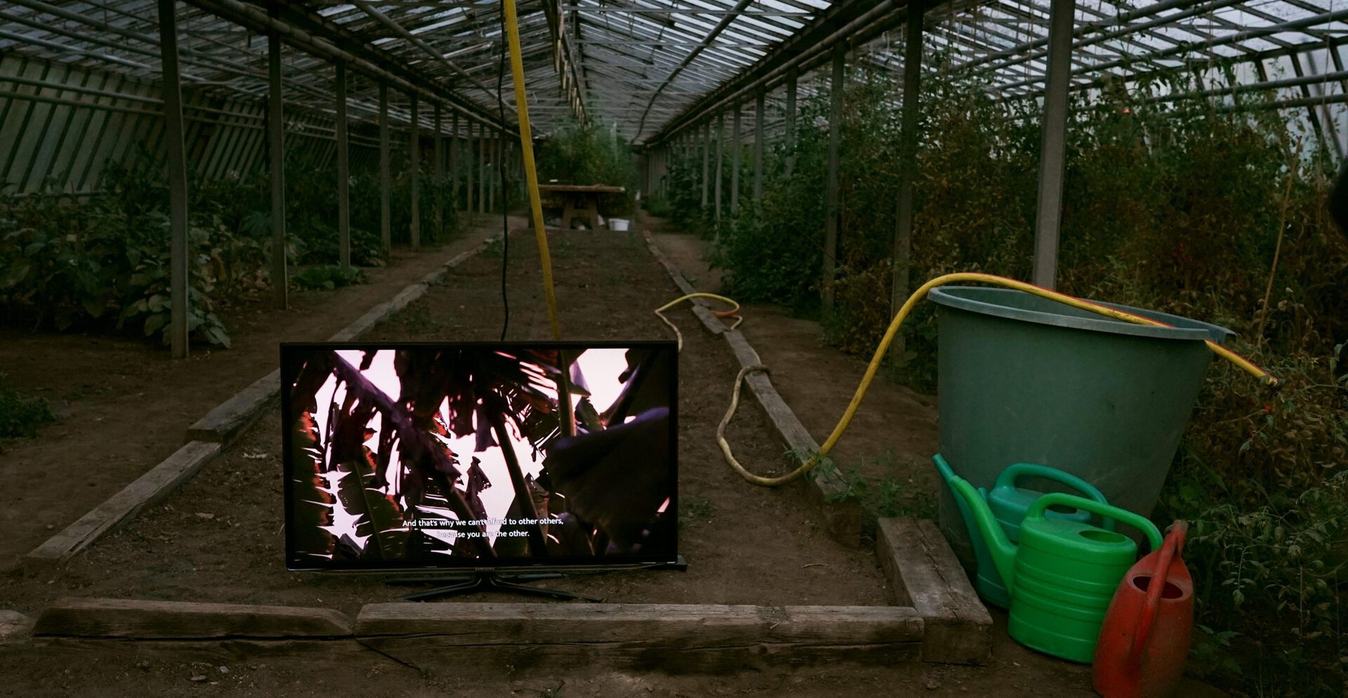 Viktoria Bayer u. Michael Reindel, So this is where we are now, Film still 2,  21min.