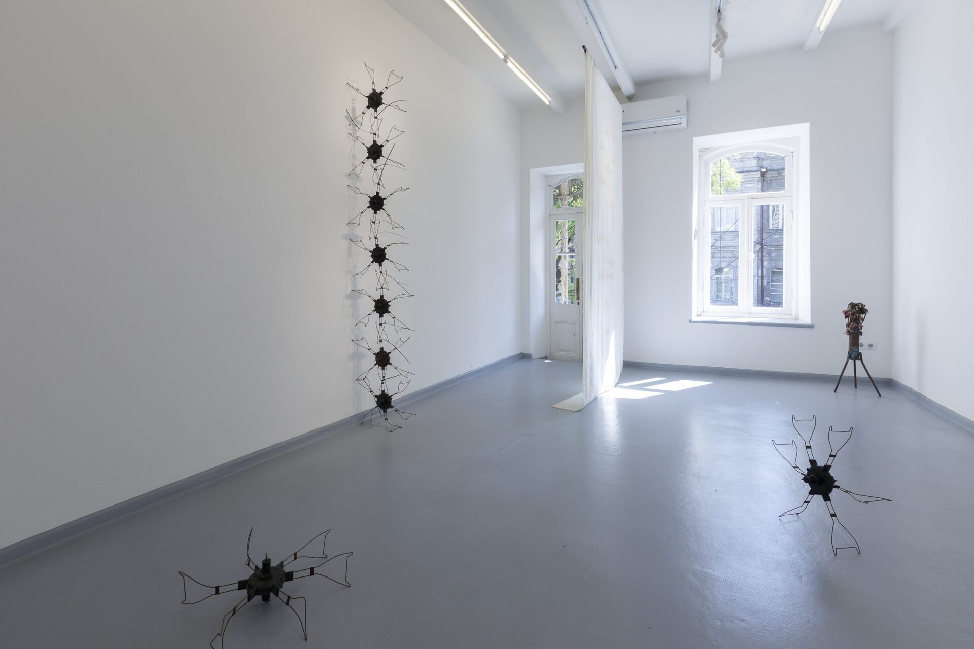 Tornike Gognadze, Dawn, Installation view