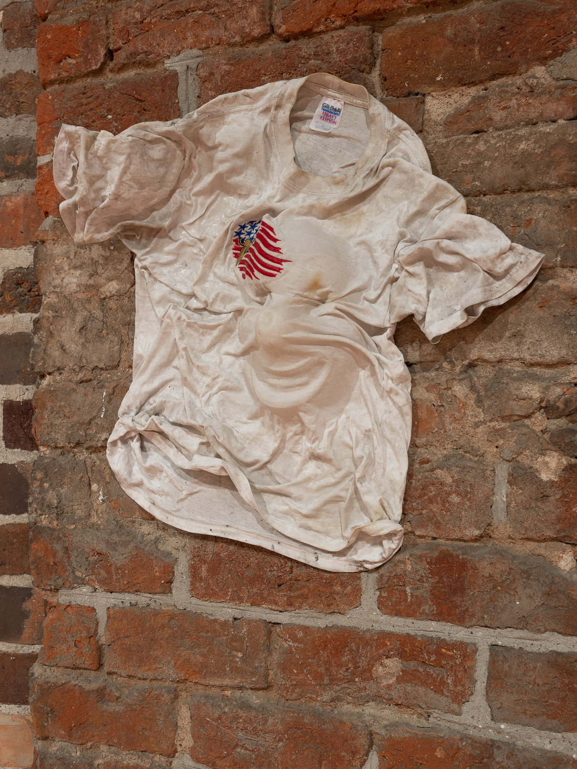 Freedom Hemd - T-Shirt, Powertex, 65 x 45 x 15 cm 2021