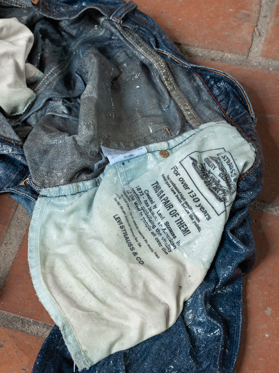 Freedom Hose - Levis Jeans, Powertex, 60 x 40 x 10 cm, 2021