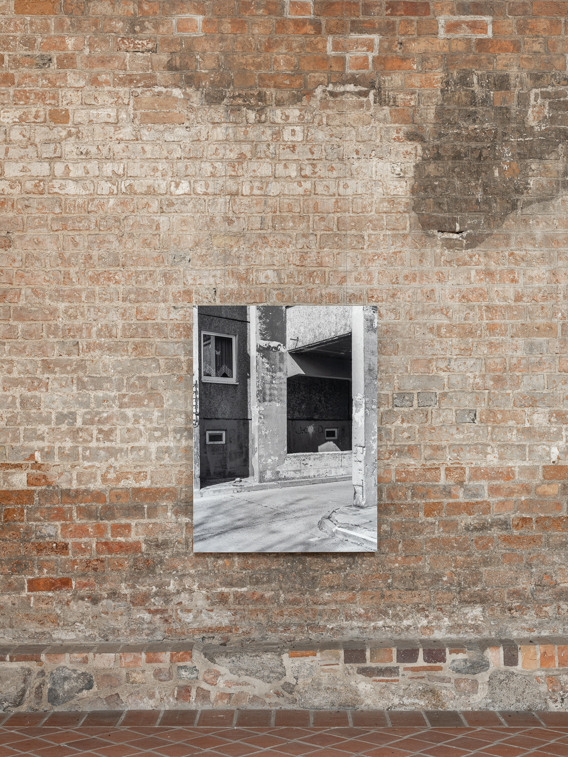 Schmetterling - S/W Archiv Pigmentdruck auf Hahnemühle Photorag Ultra Smooth Papier auf Alu-Dibond, 150 x 112 cm, 2020