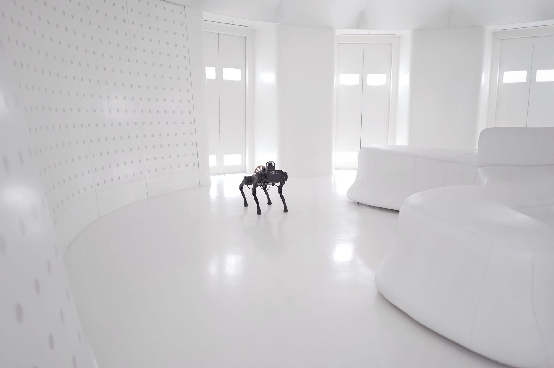 Mit Borrás, Adaptasi Cycle 05, 2021, video.