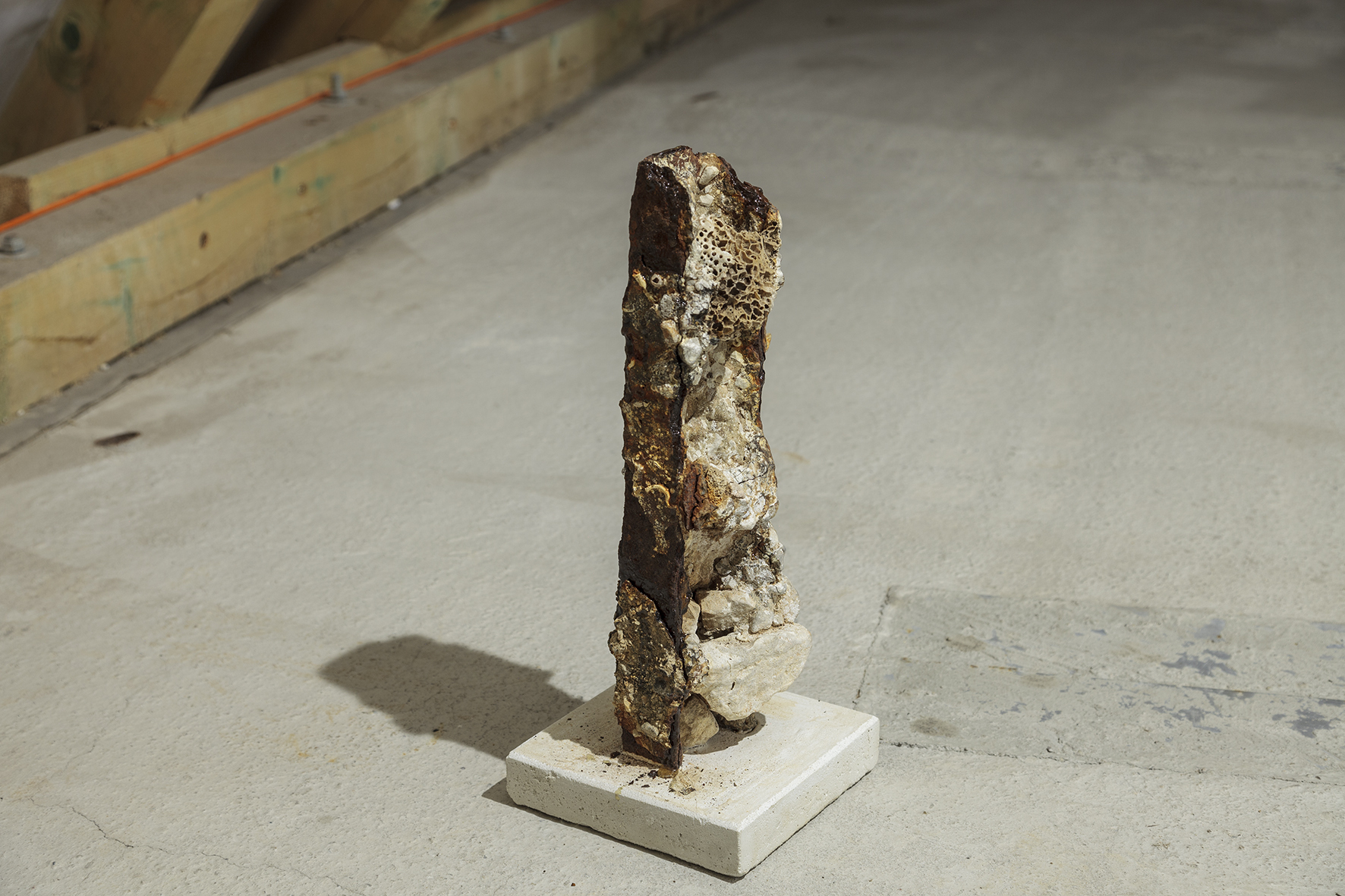 Matej Gavula_Coastal limb, 2020, object found by the sea, 50x10x10 cm