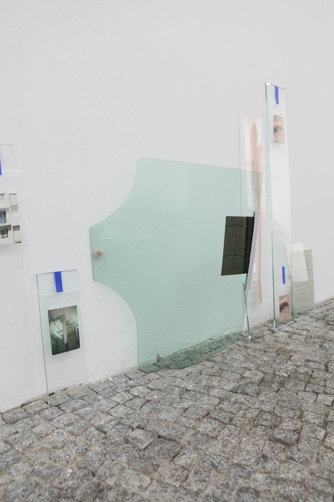 Marina Stanimirovic, MORCELLEMENT, 2021, variable dimensions, silicone rubber, glass, analog photographs