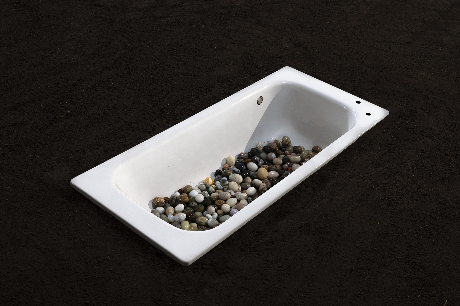 Nina Beier, Cat Cow 2021