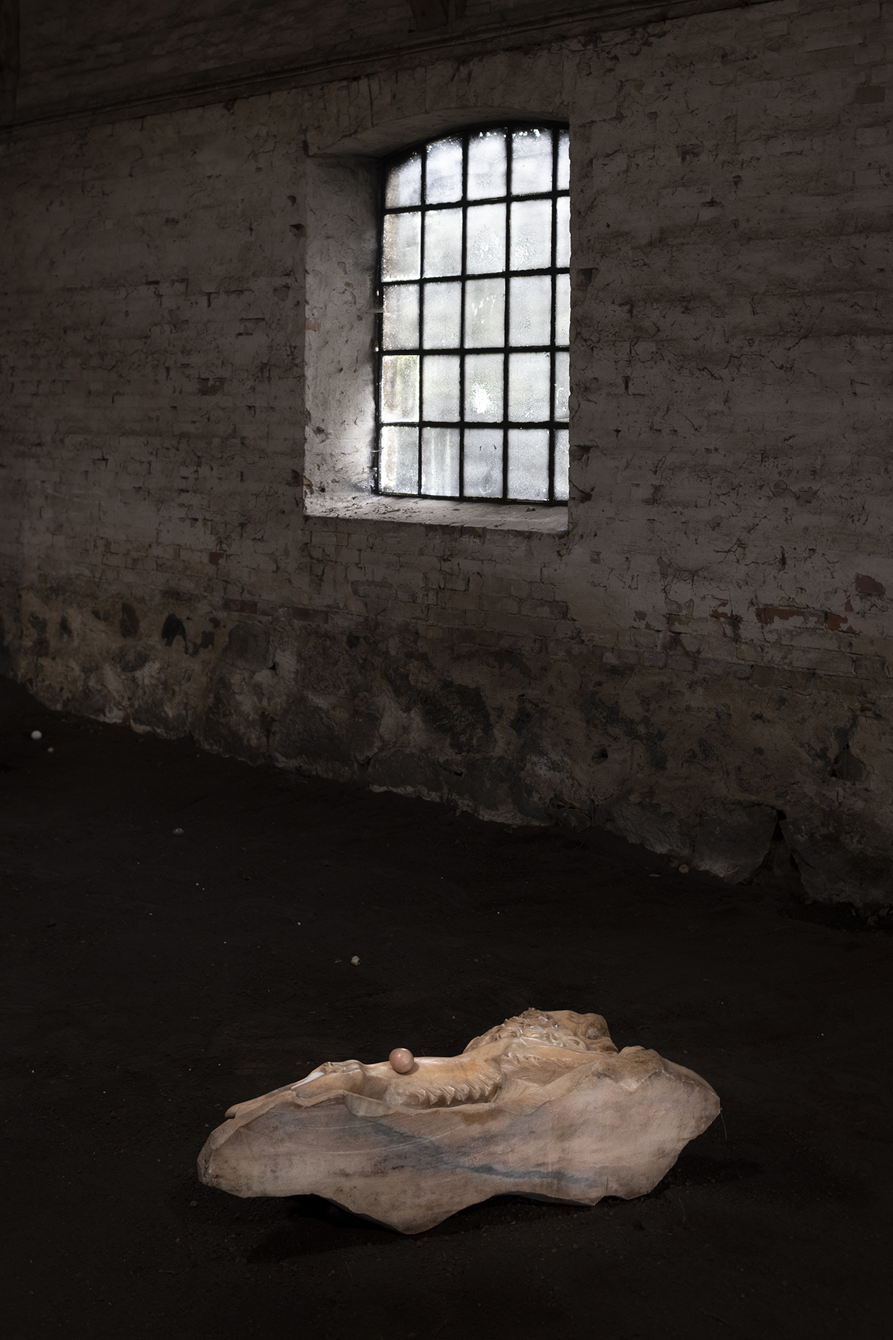 Nina Beier, Cat Cow 2021