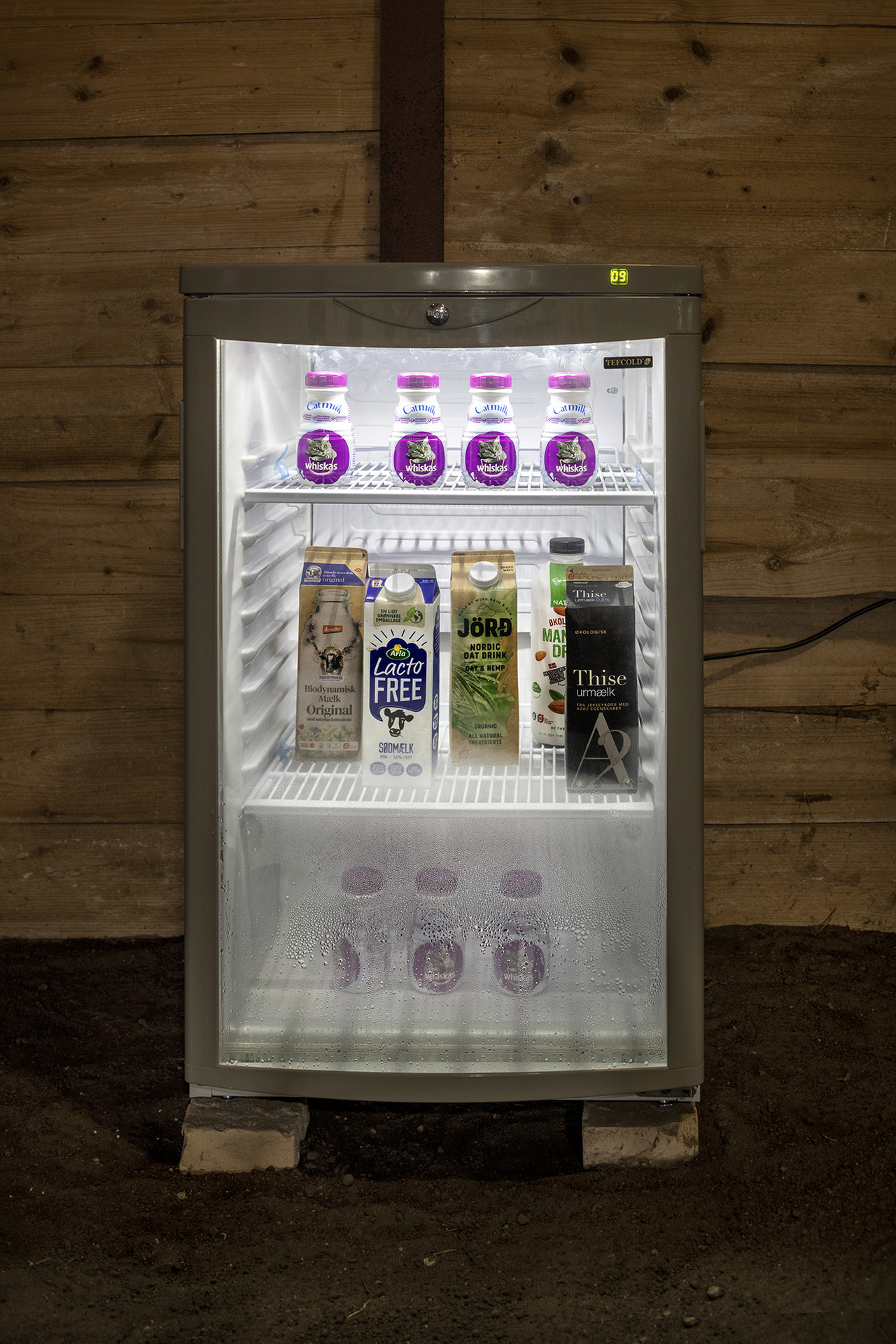 Nina Beier, Cat Cow 2021