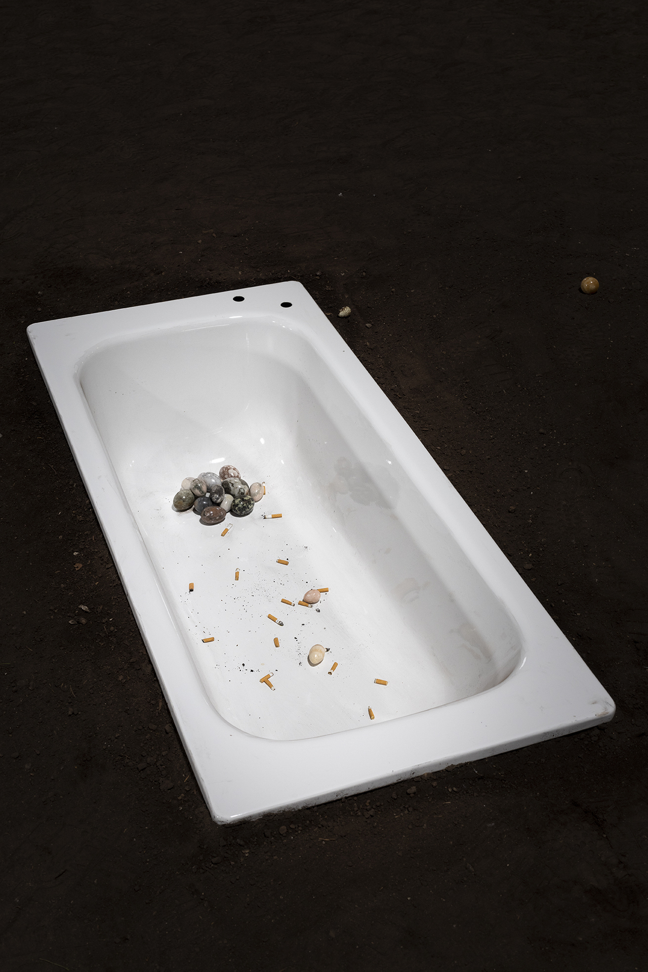 Nina Beier, Cat Cow 2021