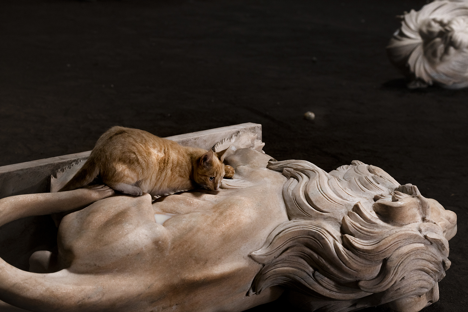 Nina Beier, Cat Cow 2021