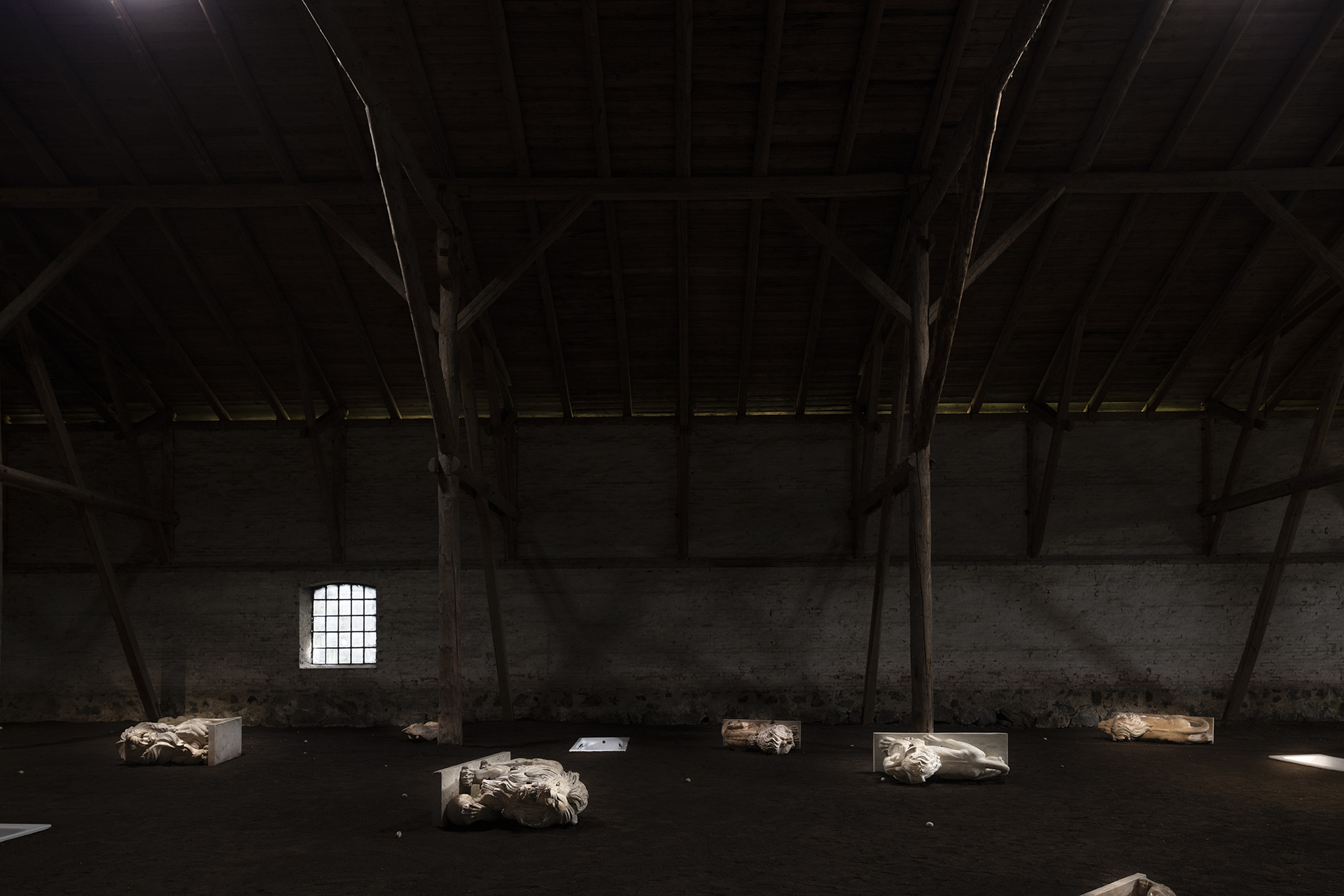 Nina Beier, Cat Cow 2021