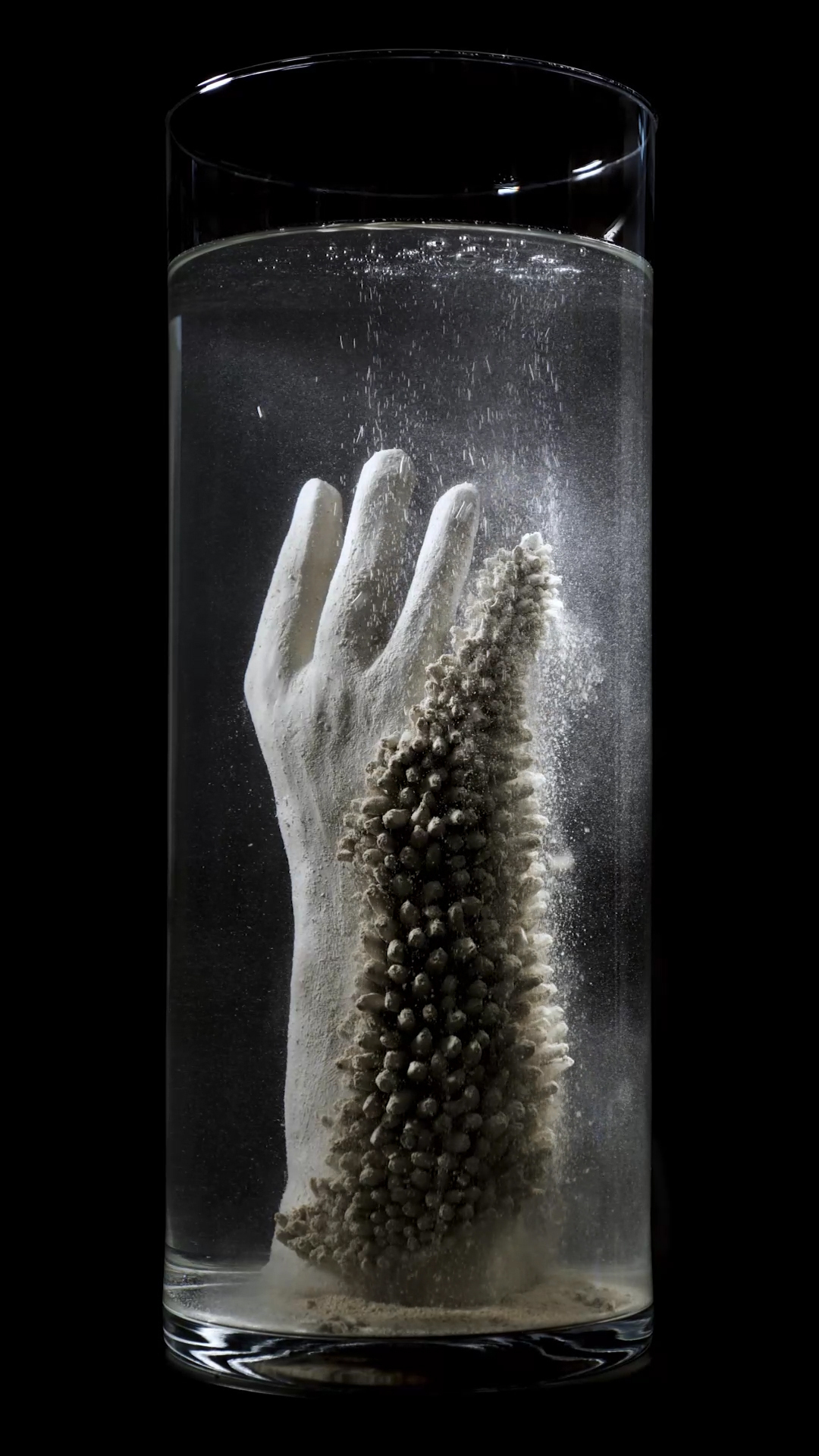 Keegan Luttrell, Gauntlet (installation view), 2021, dims variable, video still.