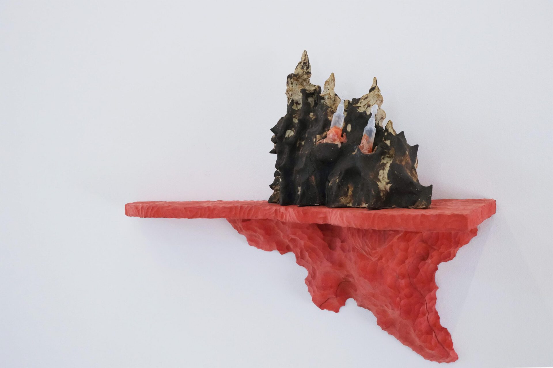 Cédric Esturillo, étagère #2, 2021 variable dimensions wood, ceramic, steel, jewelry, physiological saline, latex, hair.
