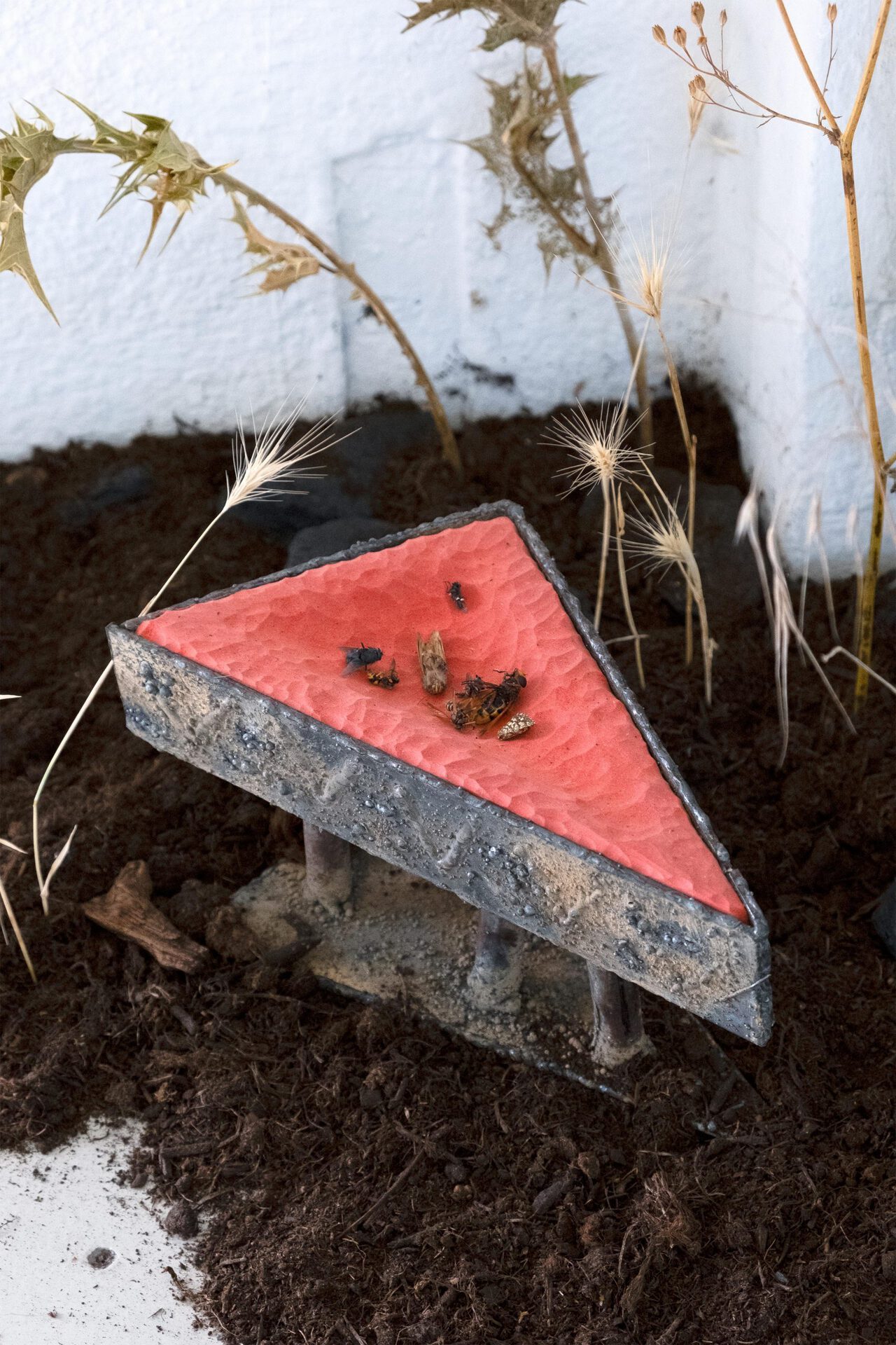 Cédric Esturillo, reliquaire, 2021 variable dimensions wood, steel, plastic, flies, ground, plants, paint.