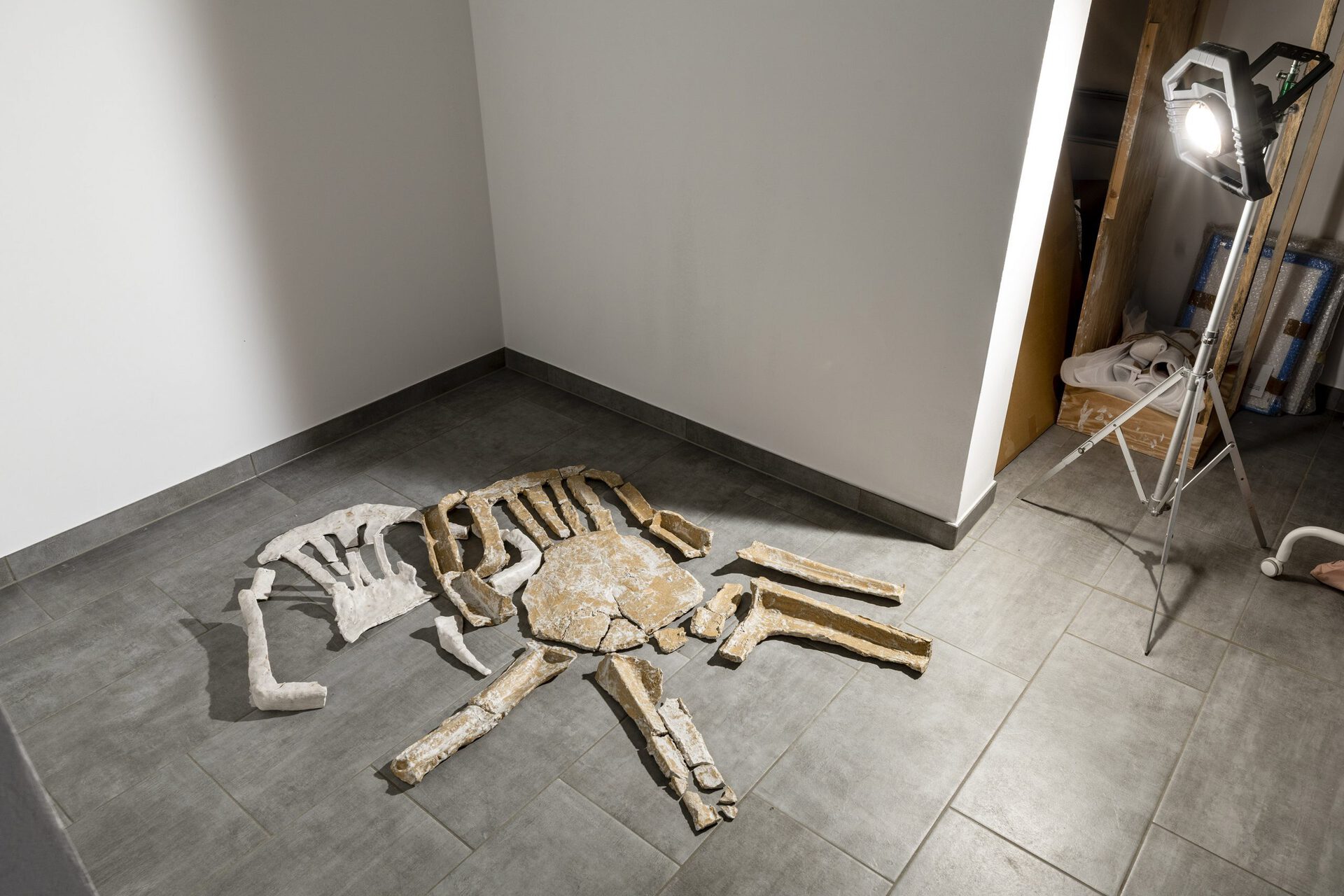 Harry Thring, I Didn’t Want To Disturb Them, 2021, glazed ceramics and porcelain  Photo: Helge Mundt