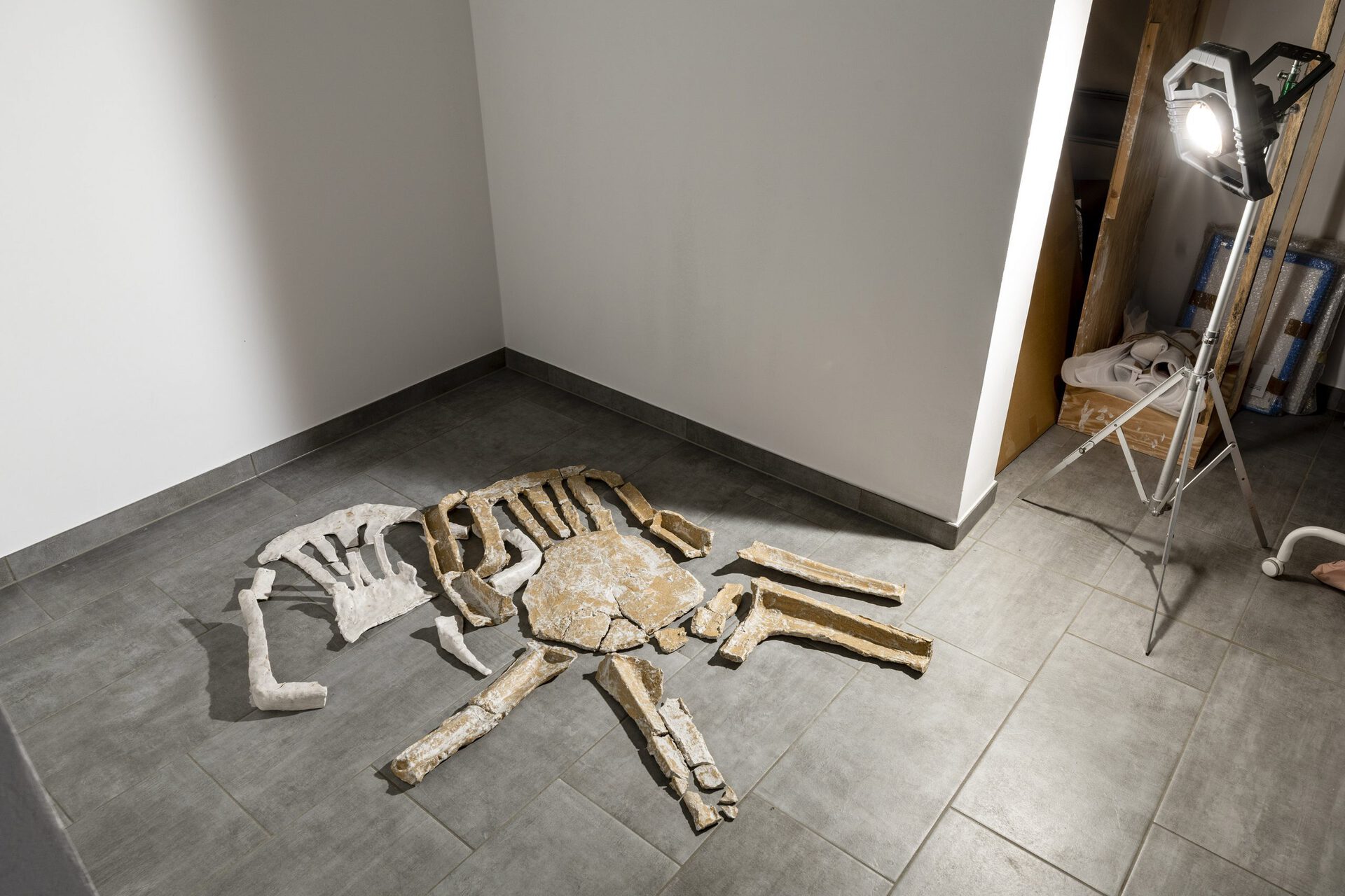 Harry Thring, I Didn’t Want To Disturb Them, 2021, glazed ceramics and porcelain Photo: Helge Mundt