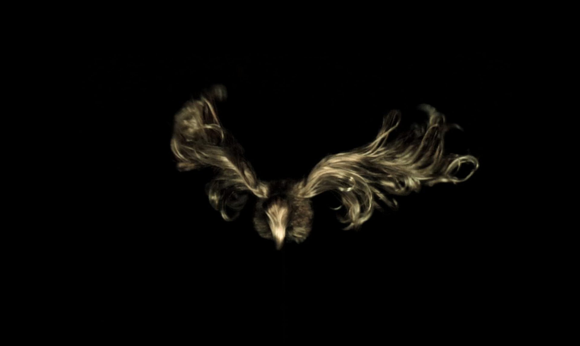 Ida Lennartsson, Burial by air, 2011, video still 16:9, 7 min, loop