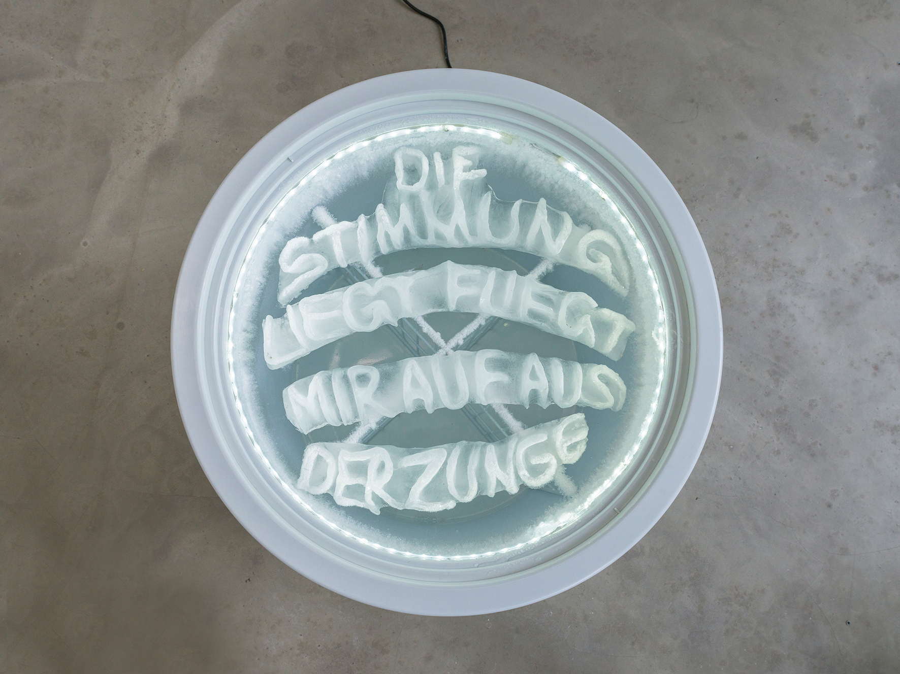 Mara Wohnhaas, “Die Stimmung liegt fliegt mir auf aus der Zunge”, 2021 Ice, freezer, LED lighting, grid, Height: 82,5 cm, ø 56 cm, Courtesy BQ, Berlin