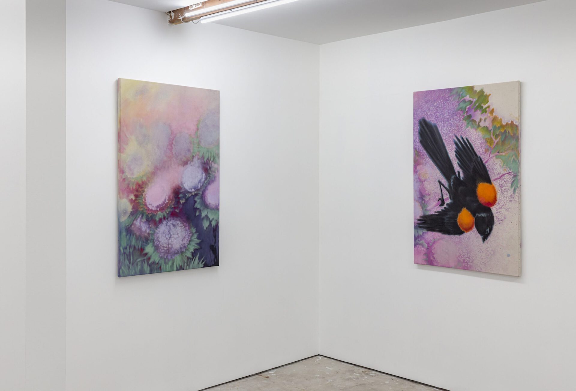 Installation View 3