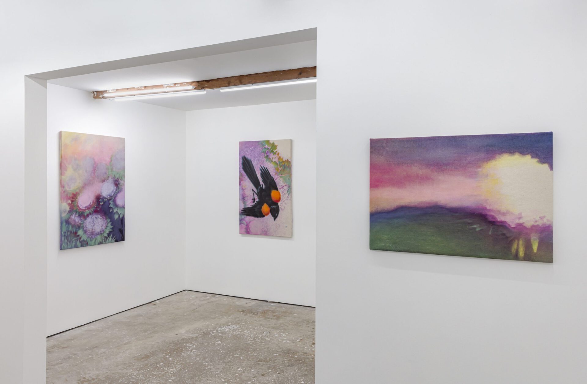 Installation view 4