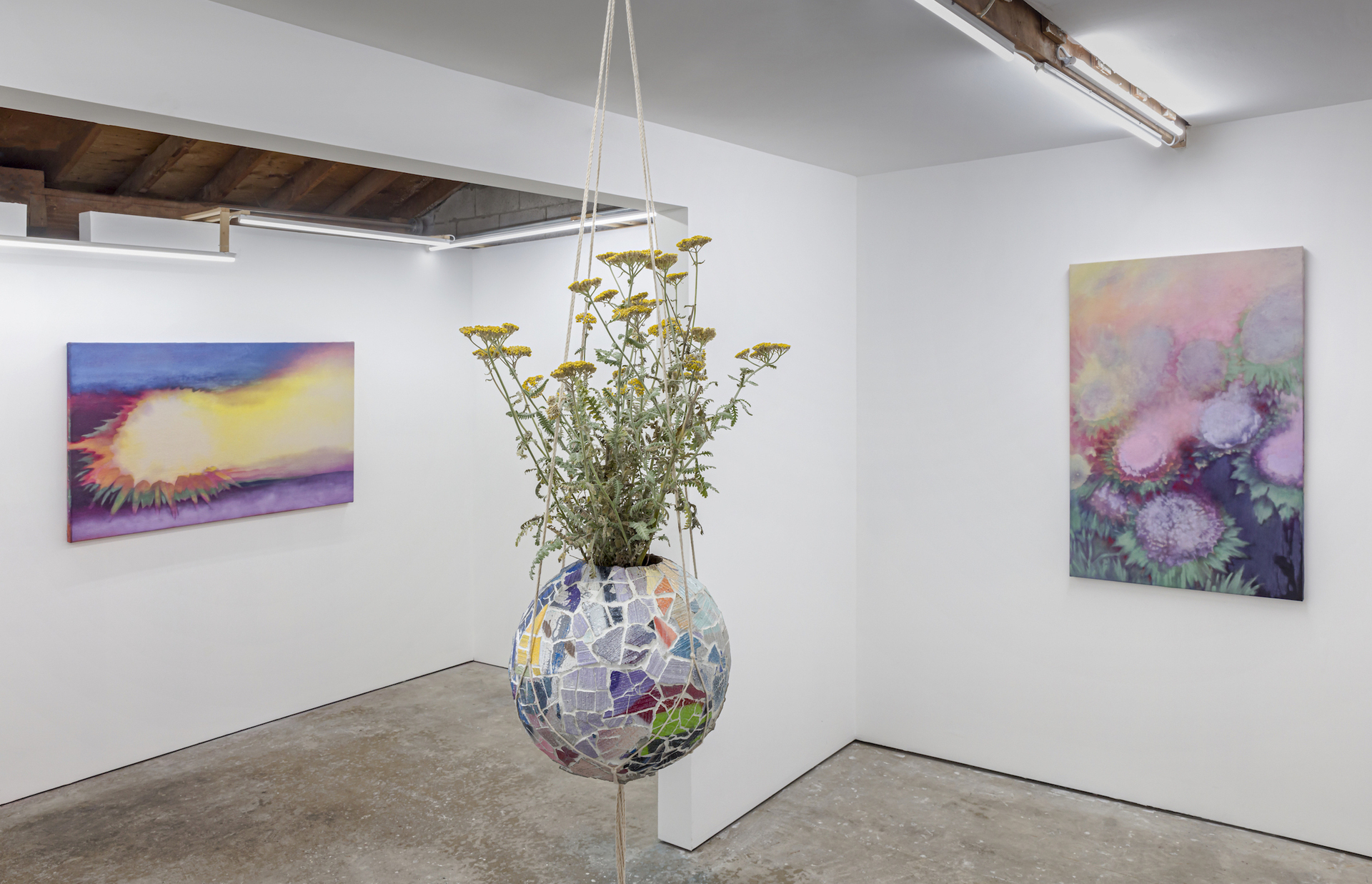 Installation view 5