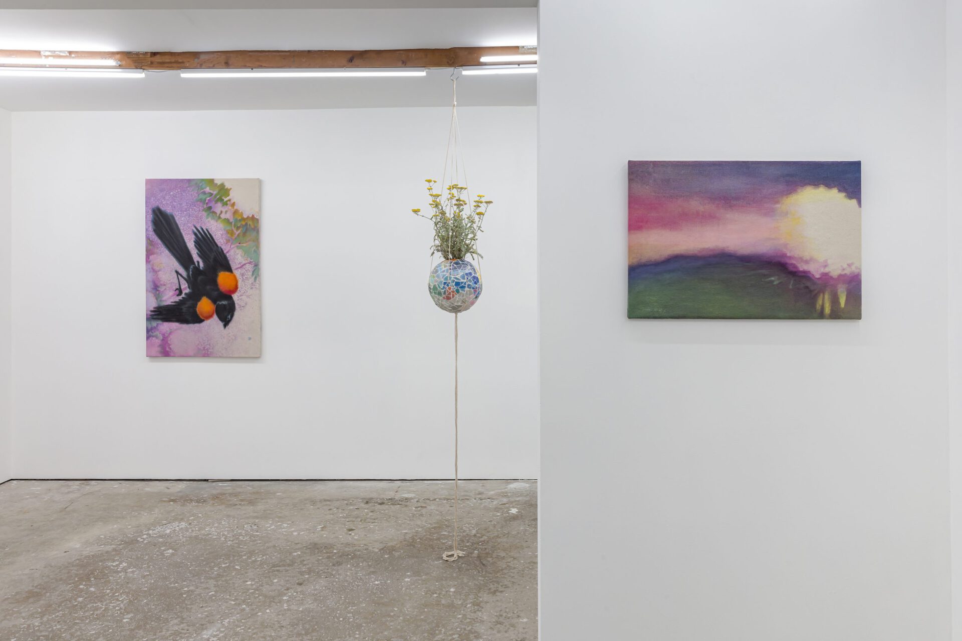 Installation view 6